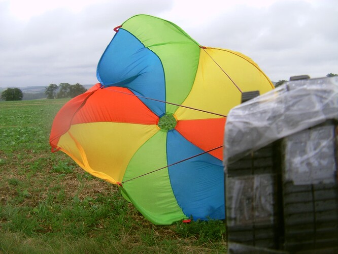 Parachute well deployed and dog leashes