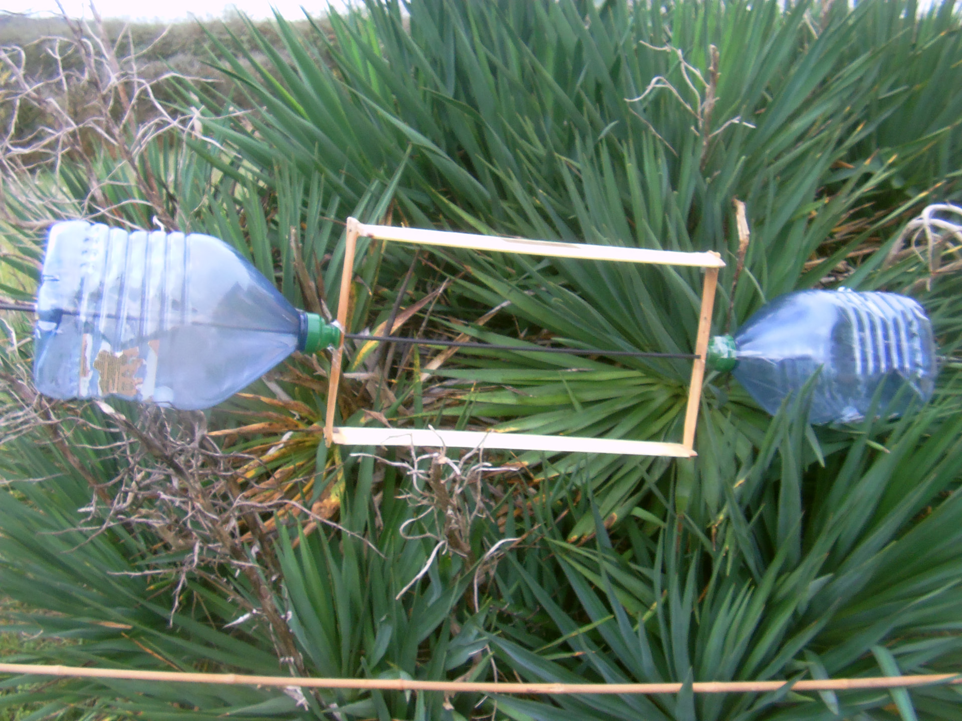 bottle kite